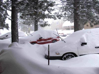 New Years Day-2004 Snowfall