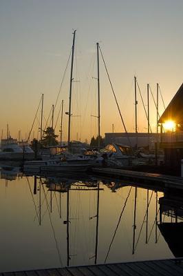 Westbrook at Dawn