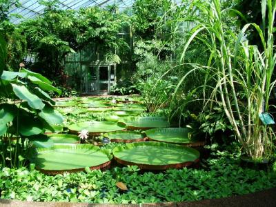 u38/theukoasis/medium/31915383.010tropicalaquaticlhouse.jpg