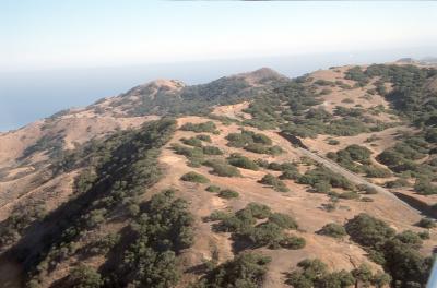 2-17-Hills Toward Avalon, East Side