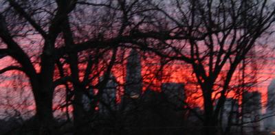 Dsc01622 skyline.jpg  Sunrise Across from My house