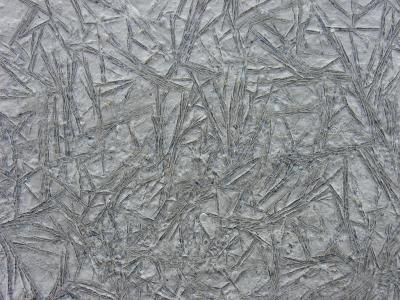 frost cracked mud