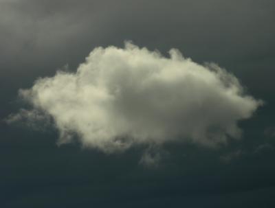 DSCN0800.JPG