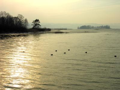 Golden sun on lake and Ufenau
