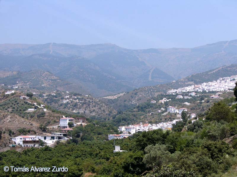 Sayalonga