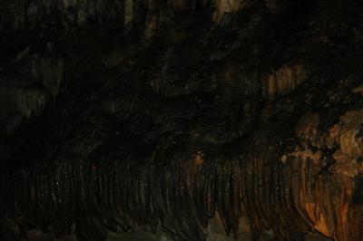 100N-0018_DSC.JPG