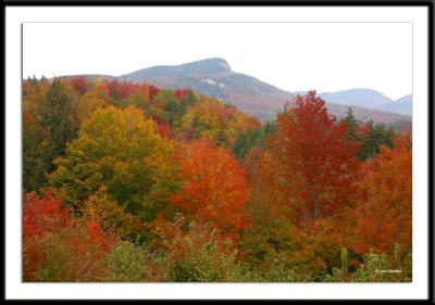 Foliage in White Mountain National Park and the surrounding area, October 9, 2004.