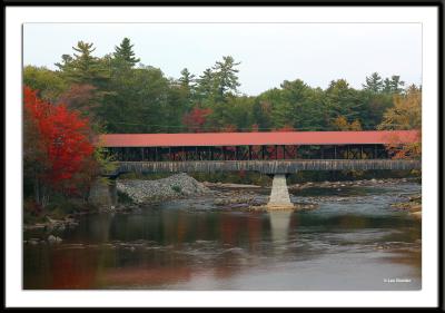foliage-0907.jpg