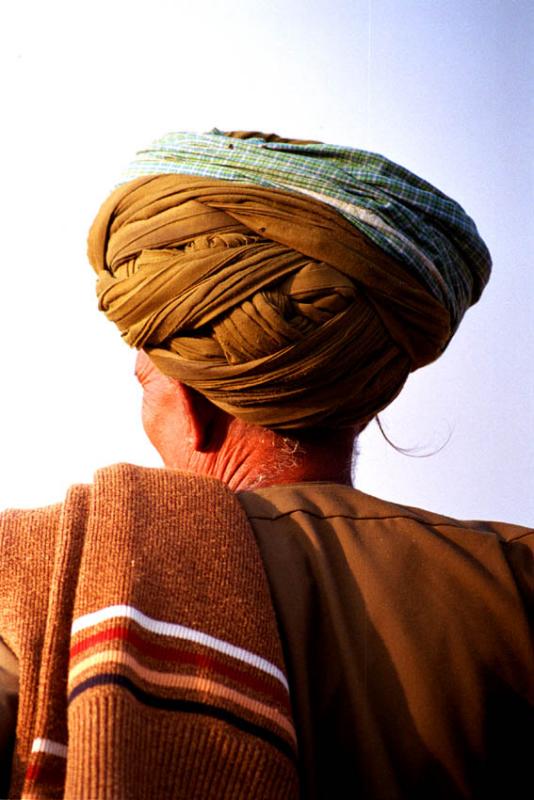 Rajasthani splendor web.jpg