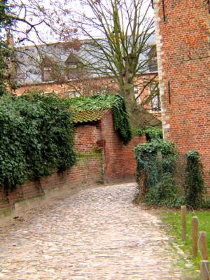 street with some winter greenery