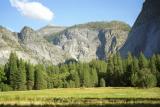 meadow small.jpg