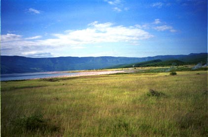 the beauty of Lake Bogoria.jpg