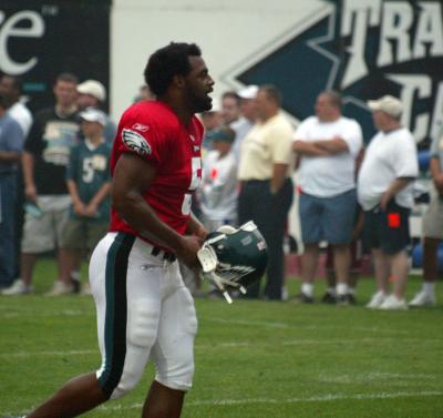 dmac010.jpg