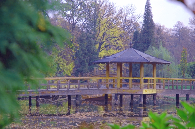  autumn 04