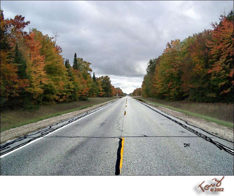 Fall 2002 Long Colorful Road