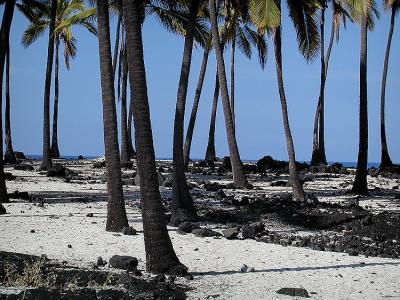 Pu'uhonua O Ho'naunau  place of refuge.jpg