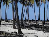 Puuhonua O Honaunau  place of refuge.jpg