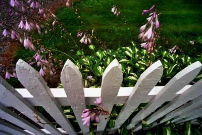 Picket Fence Revisited