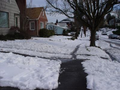 If they can't walk sigle file--don't walk on my sidewalk!