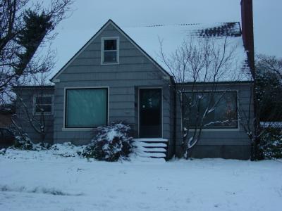 Snowy New Year's Day 2004