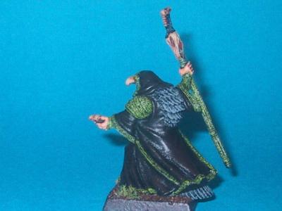 Day 10 Birdman rear.jpg