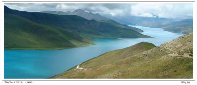 羊卓雍错湖 (4400m)
