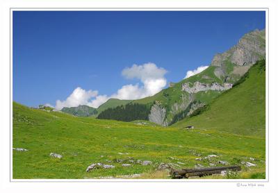 u38/wehire/medium/31950817.022BlicknachNordengerahmt8.jpg