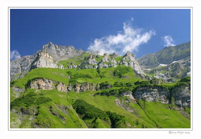 Baumgarten-Alp