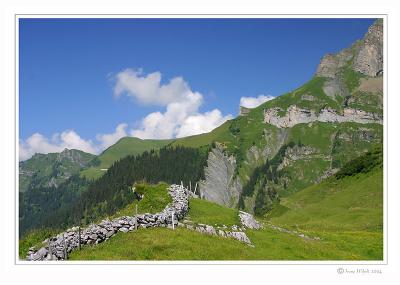 Baumgarten-Alp