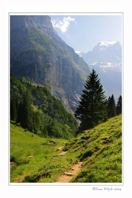 u38/wehire/medium/31951861.144AufstiegmitRahmen8.jpg