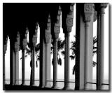 Columns & Palms