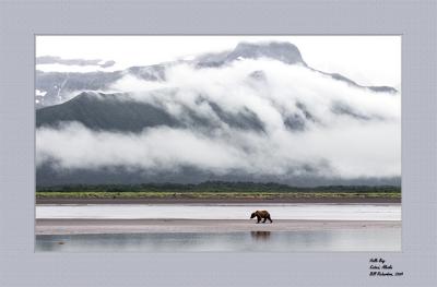 bearclouds4email.jpg