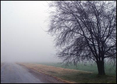 Curtain of Fog