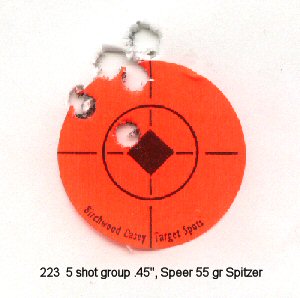 .45 223 group 