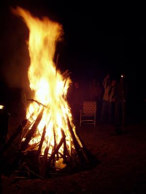 At one point, our bonfire, fueled by Lee and Bruce's generous application of diesel, was licking the tree branches above