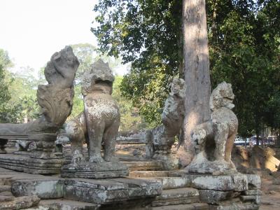 u38/worldhistory/medium/39371482.IMG_0920.jpg