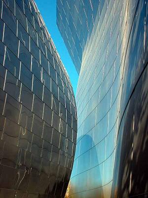 Walt Disney Concert Hall