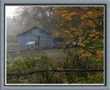 horse_DSC_8764_wframe.jpg