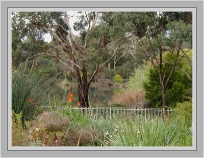 Garden beds