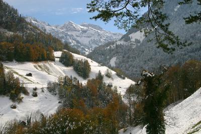 Fleliranft ob Sachseln