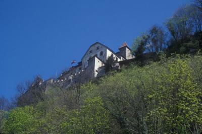 Castle from Vaduz Town