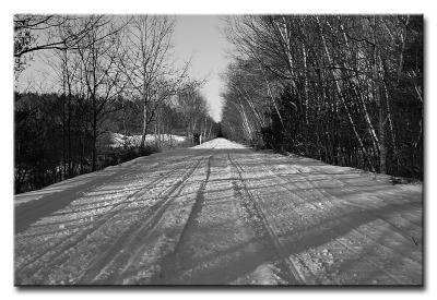 CRW_8026