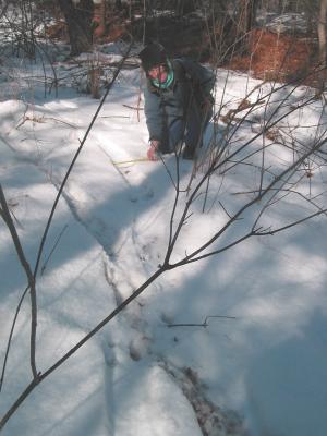 Mary's measuring the width 3125.jpg