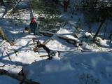 IMG_9336_.5.jpg