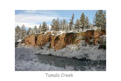 Tumalo Creek.jpg