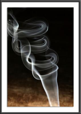 u39/alienspresent/medium/25407398.IMG_3822.jpg