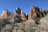 Zion NP