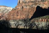 Zion NP