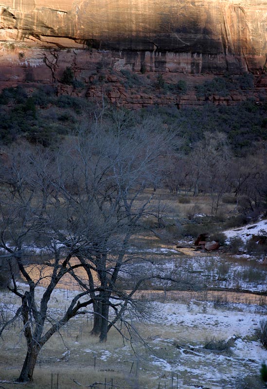 Zion NP