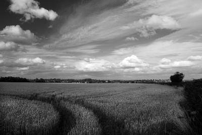 Near Bath, summer 2003